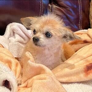 Meet your Posher, Jeff